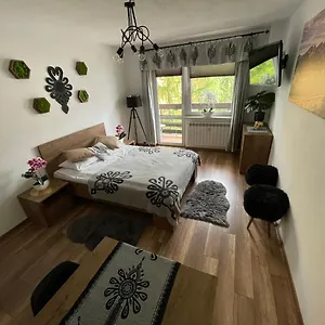 apartament-20m-od-krupowek.zakopanehotels.org/